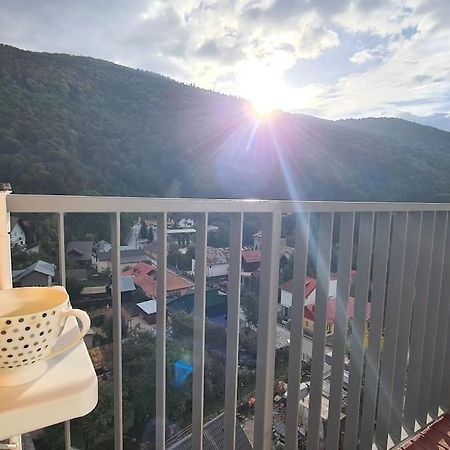 Apartament Vis De Sinaia ! Экстерьер фото