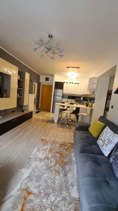 Apartament Vis De Sinaia ! Экстерьер фото